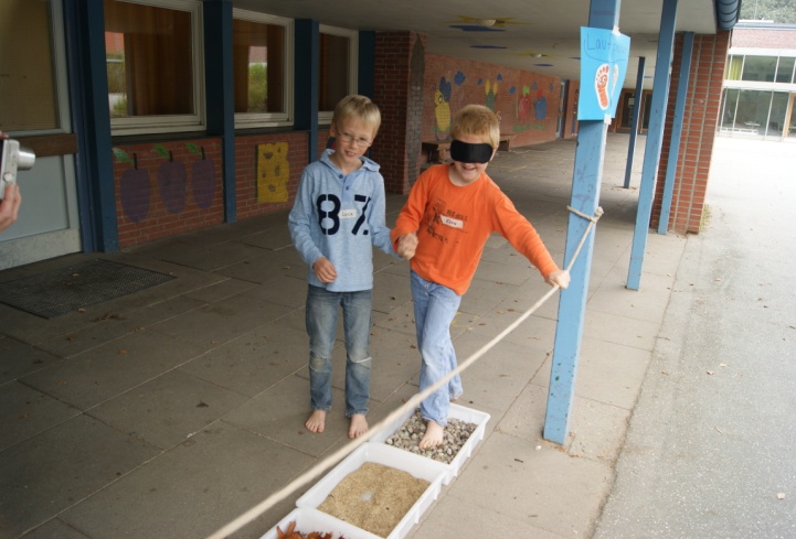 Bodenprojekttag der 2. Klassen im Oktober 2014