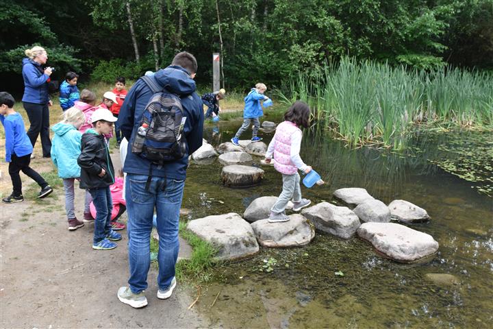 Die ganze Schule unterwegs – da war was los! Schulausflug in den Erlebniswald Trappenkamp